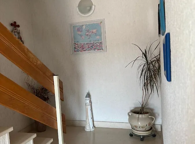 Levarda טרוגיר